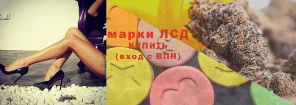 PSILOCYBIN Верея