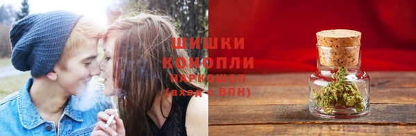 амф Бородино