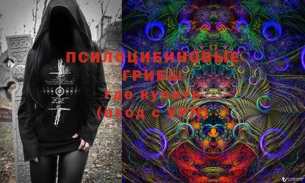 PSILOCYBIN Верея