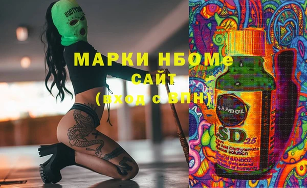 амф Бородино