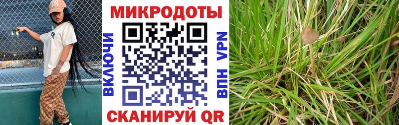 что такое наркотик  Верхняя Пышма  МЕГА   Псилоцибиновые грибы ЛСД 